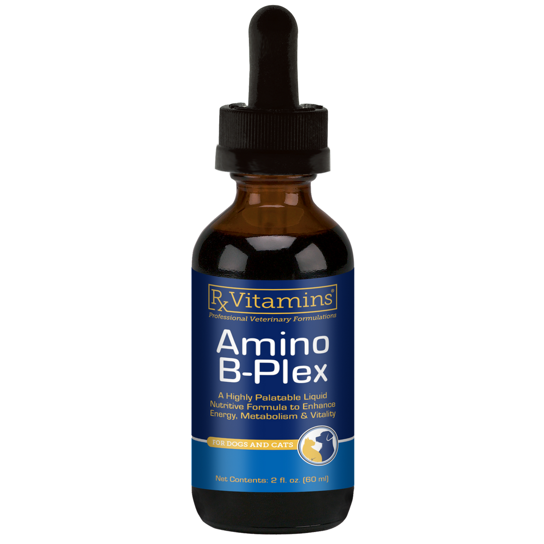 Vitaminas Rx para Mascotas Amino B Plex 2 Oz Vitamina B Aminoácidos para Perros y Gatos