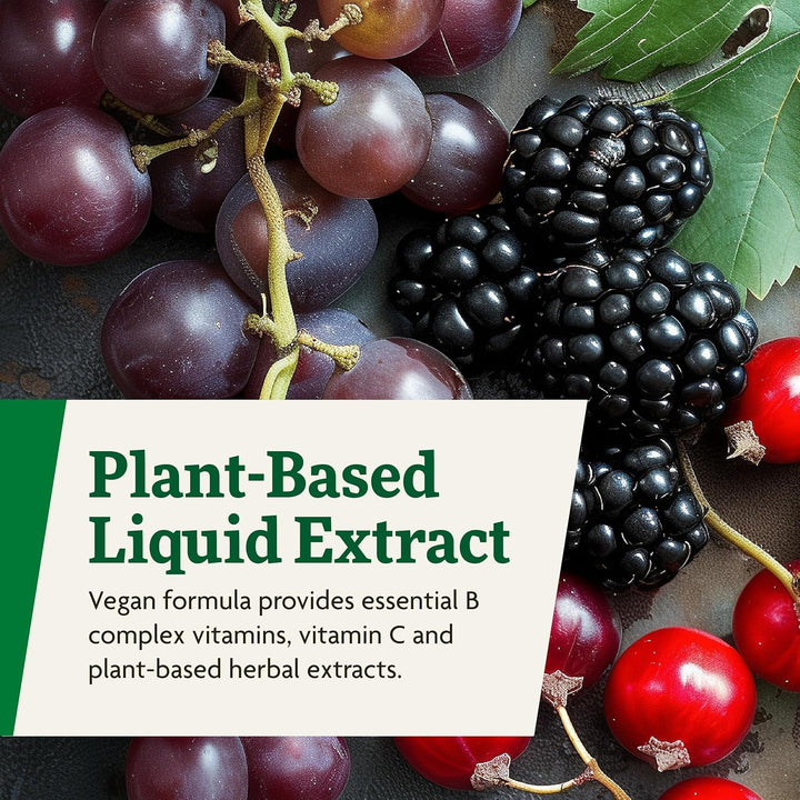 Gaia Floradix Floravital Liquid Iron B Vitamins Energy Support 8 Point 5 oz