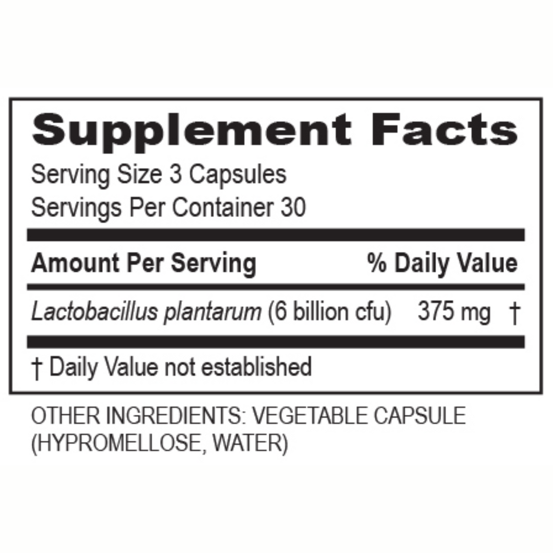 Transformation Enzymes Plantadophilus Capsules Support Digestive Balance 90 Caps