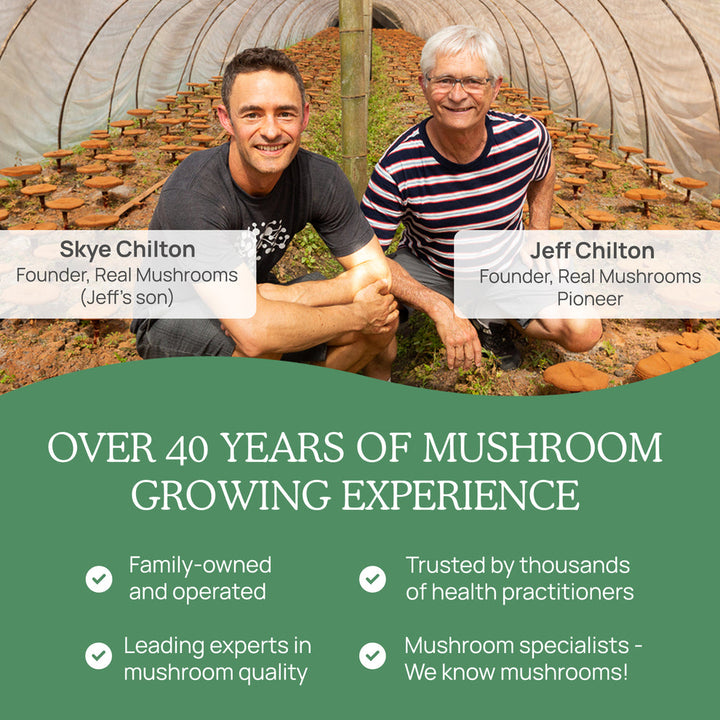 Real Mushrooms 5 Defenders Organic Mushroom Bulk Powder 45g Immune Support