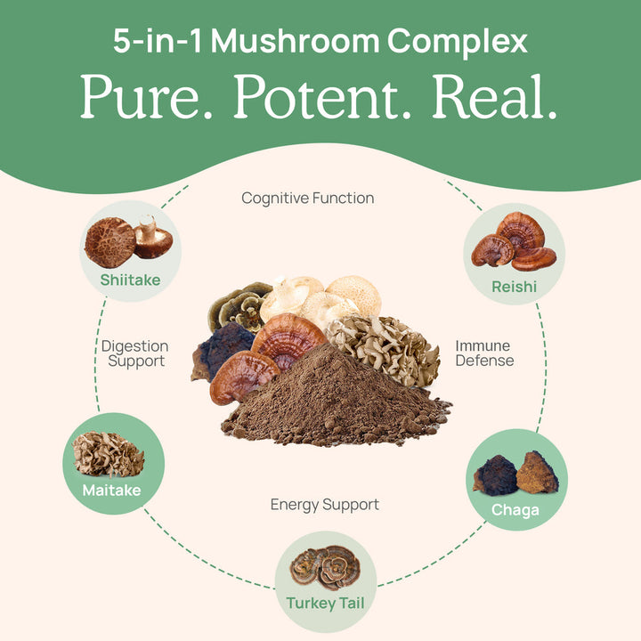 Real Mushrooms 5 Defenders Organic Mushroom Bulk Powder 45g Immune Support