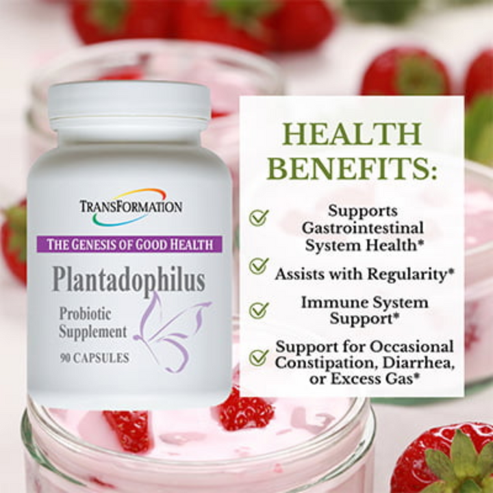 Transformation Enzymes Plantadophilus Capsules Support Digestive Balance 90 Caps