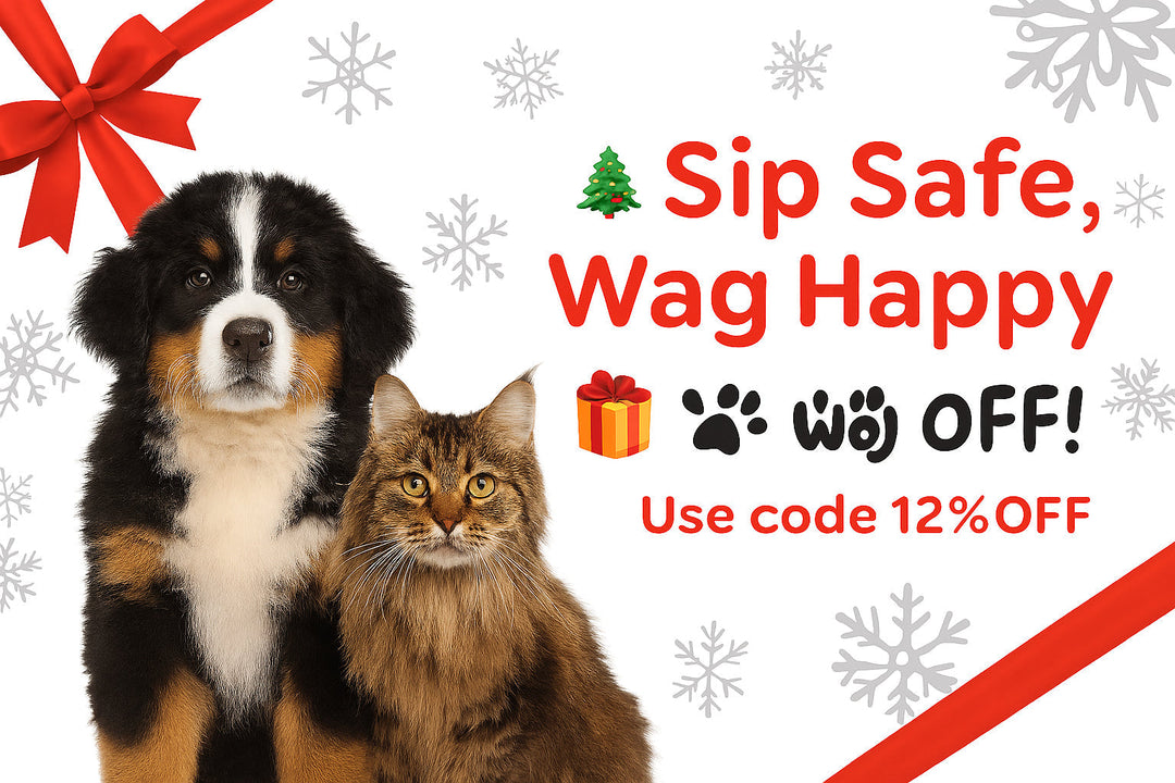 Sparkling Bowls, Sparkling Health: Why Clean Water Matters for Our Pets