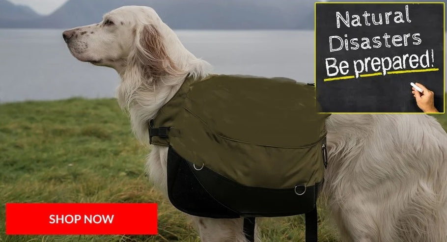 Emergency Preparedness