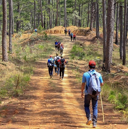 How to Exercise for Lifelong Health and Vitality