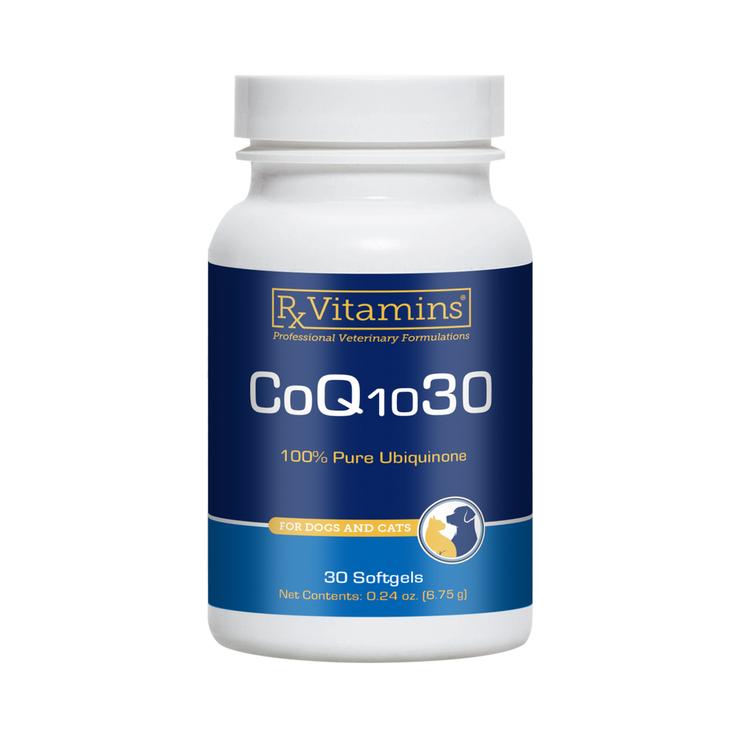 Rx Vitamins CoQ10 30 Capsules Antioxidant Supplement for Dogs and Cats