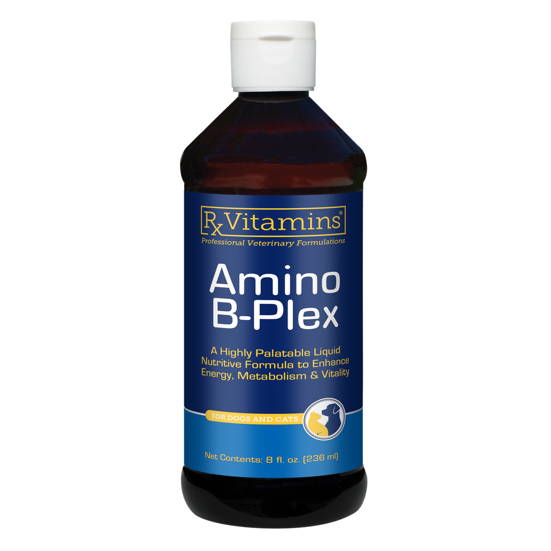 Rx Vitamins For Pets Amino B Plex 8 Oz B Complex Liver Fractions Dogs and Cats