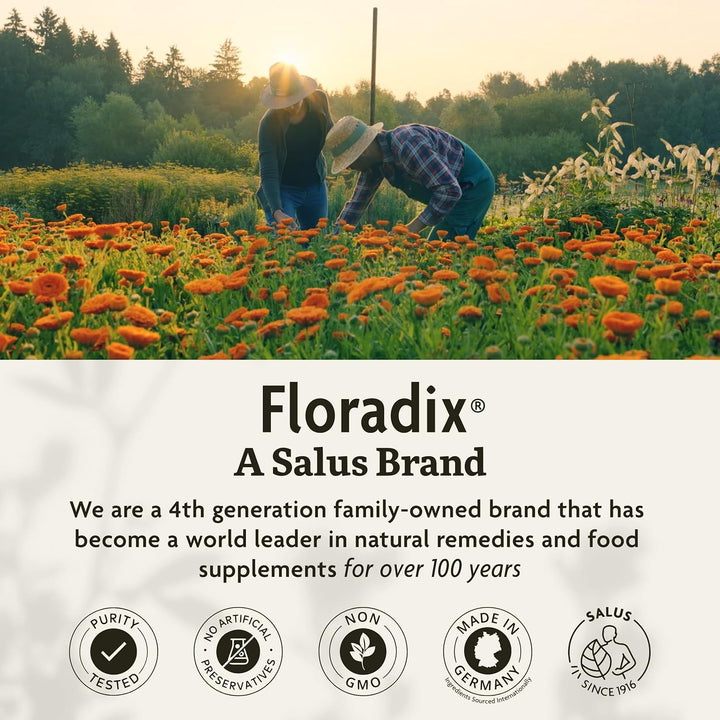 Gaia Floradix Floravital Liquid Iron B Vitamins Energy Support 8 Point 5 oz