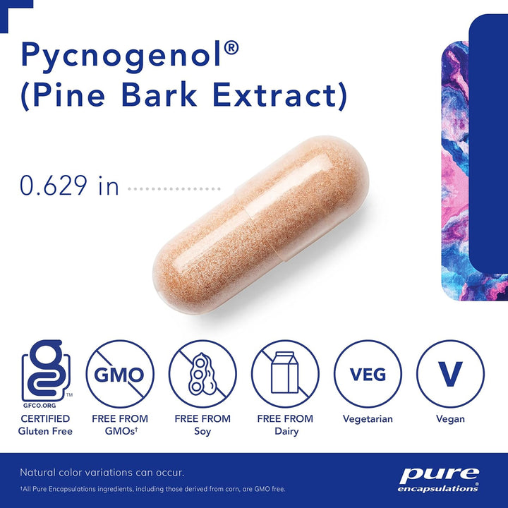 Pure Encapsulations Pycnogenol Supports Brain and Heart Function 60 Capsules