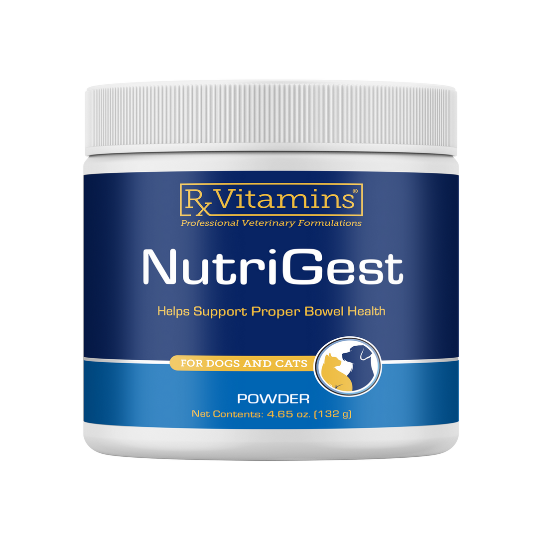 Rx Vitamins For Pets NutriGest Powder 4.65 Oz Bowel Health for Dogs and Cats