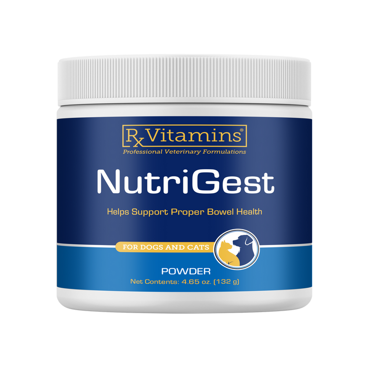 Rx Vitamins For Pets NutriGest Powder 4.65 Oz Bowel Health for Dogs and Cats