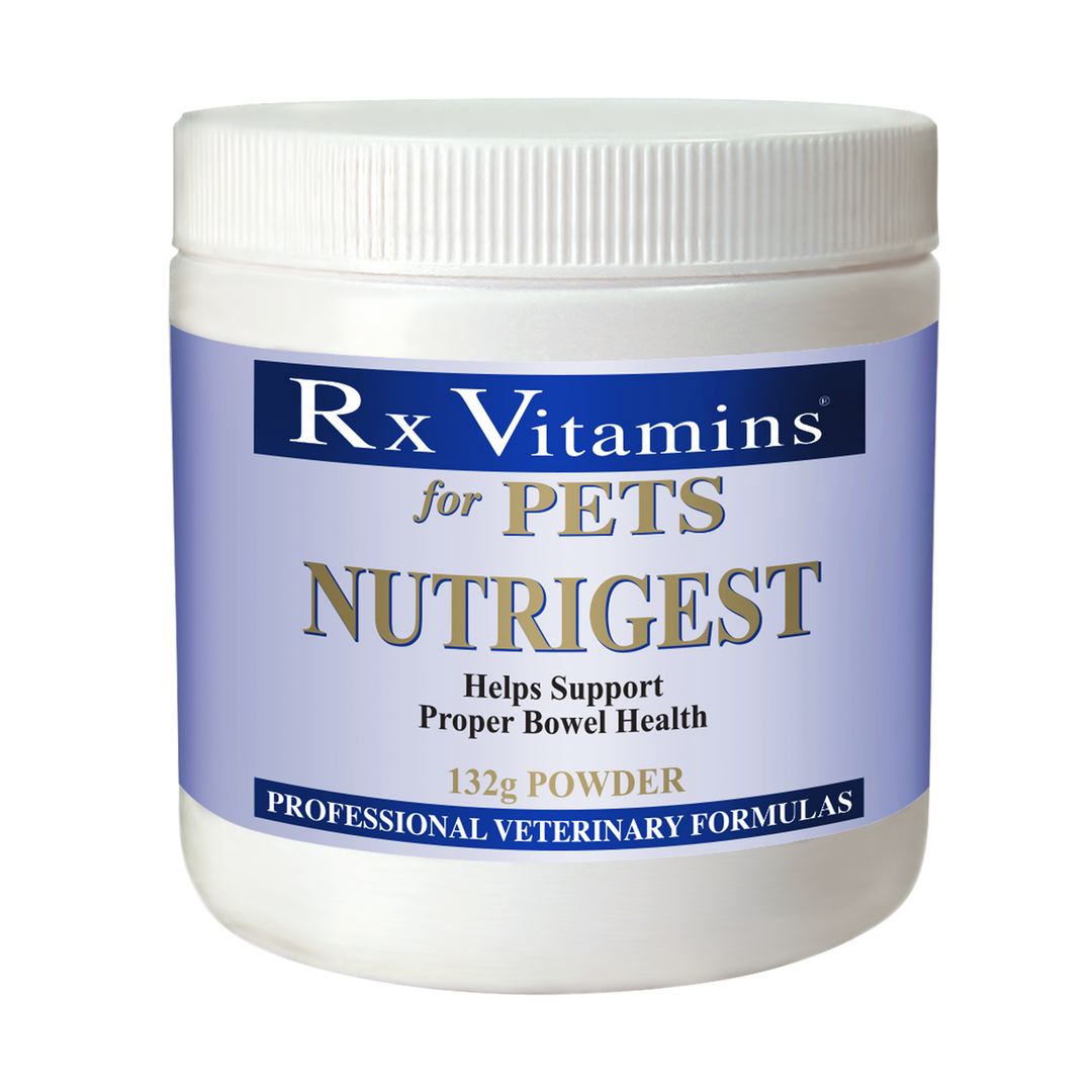 Rx Vitamins For Pets NutriGest Powder 4.65 Oz Bowel Health for Dogs and Cats