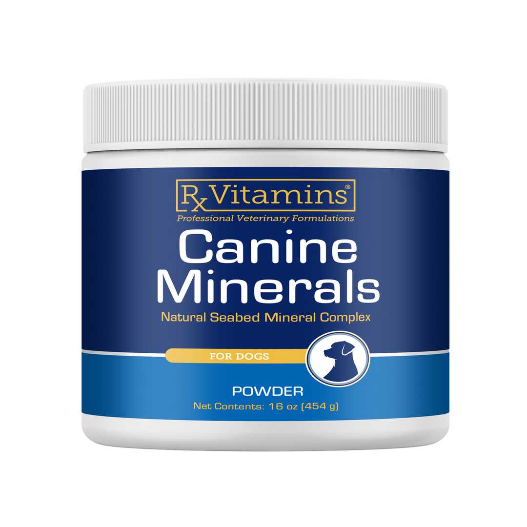 Rx Vitamins For Pets Canine Mineral Powder 454g Essential Nutrients For Dogs