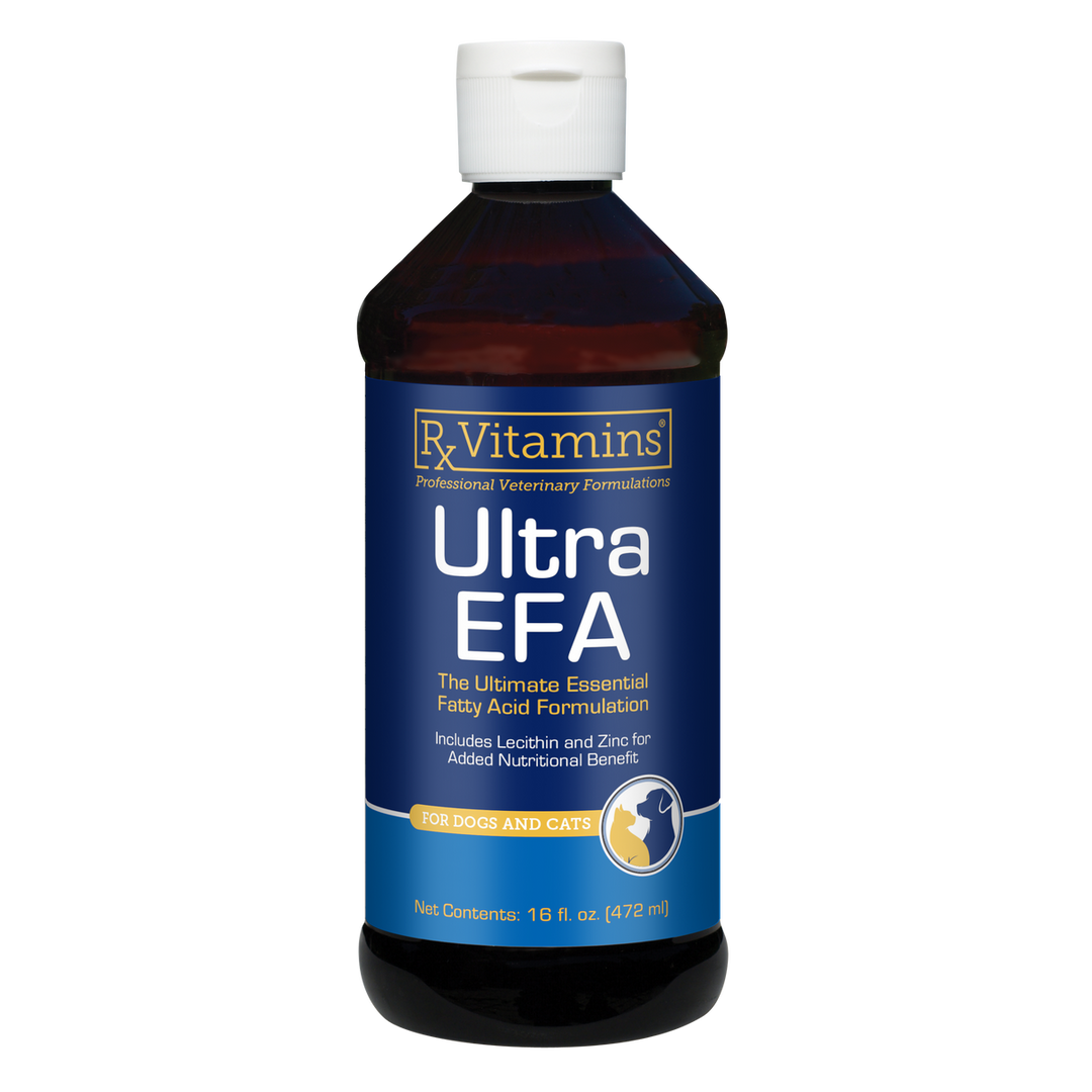 Rx Vitamins For Pets Ultra EFA Oil 16 Oz Essential Fatty Acid for Dogs and Cats