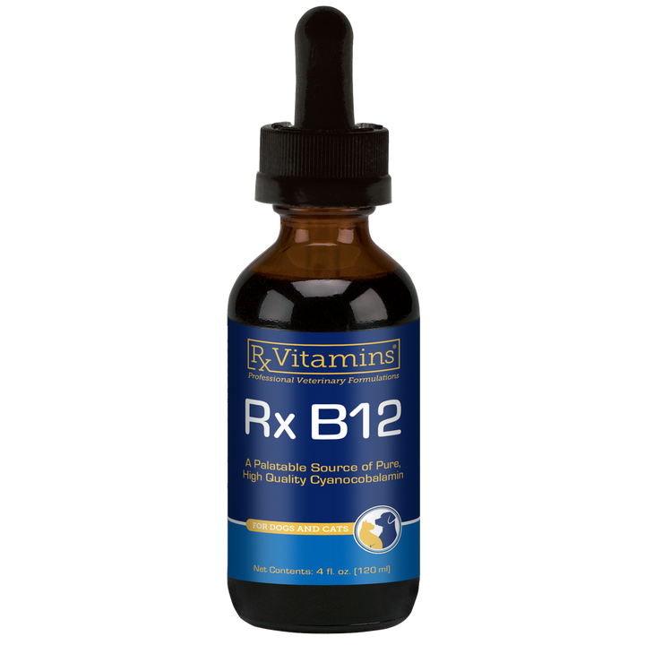 Rx Vitamins For Pets Rx B12 Liquid 4 Oz Digestive Supplement for Dogs and Cats
