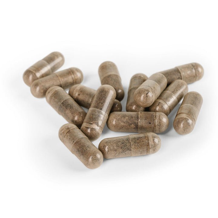 Ayush Herbs Ashwagandha Adaptogen Anti-aging 120 x 500mg Caps Supplement