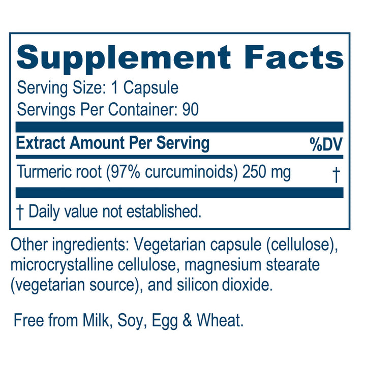 Ayush Herbs Curcumin 97% Herbal Turmeric Supplement 90 x 250mg Capsules