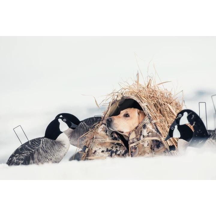 Rig Em Right Outdoors Field Bully Dog Blind Optifade Marsh