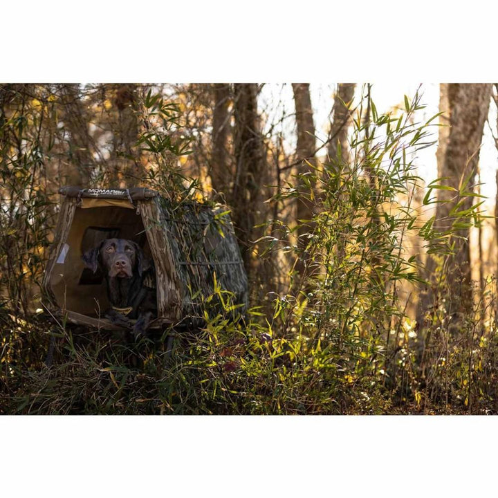 Higdon Outdoors Invisilab Dog Blind Mossy Oak Bottomland Portable Shelter