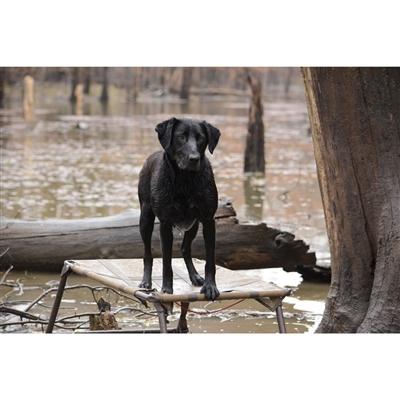 Higdon Outdoors MOmarsh Final Stand