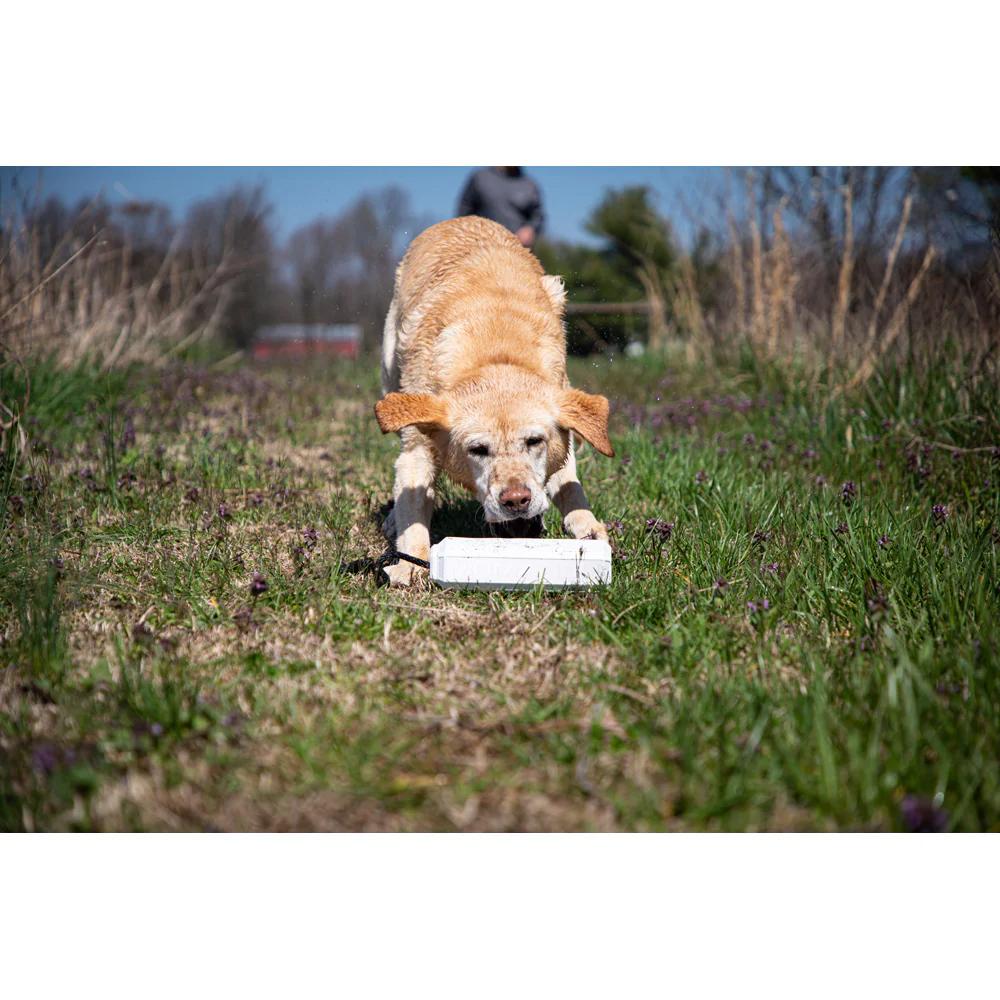 MOmarsh Medium Mark White Dog Training Bumper EVA Foam 9x2in Floatable