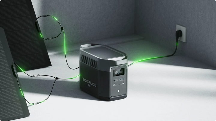 EcoFlow DELTA 2 Max Portable Power Station + One 160W Portable Solar Panel