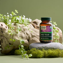 Load image into Gallery viewer, Gaia Herbs Milk Thistle Seed 120 Caps Liver Support and Detoxification
