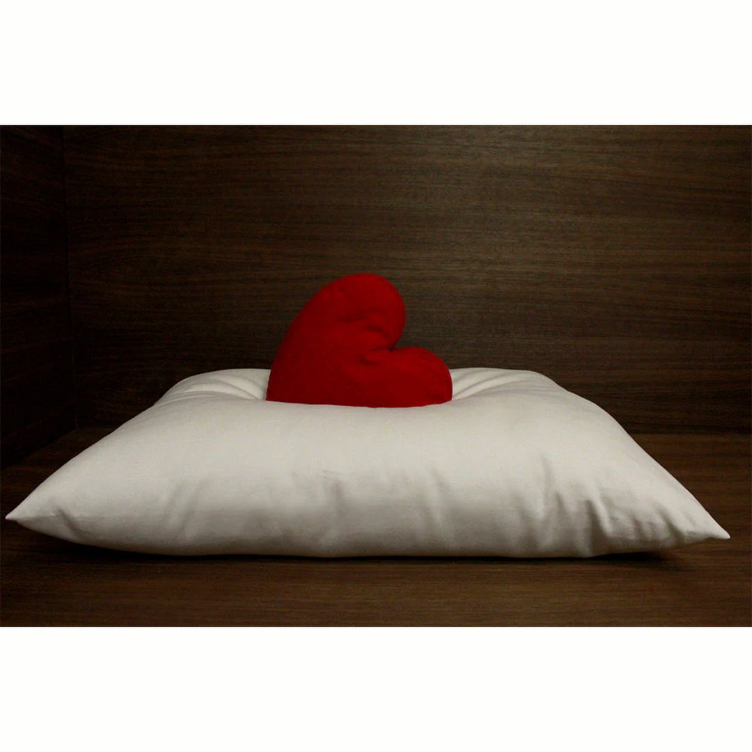 Soaring Heart Firm Organic Wool Pillows Natural Sleep Standard Queen 20" x 26"