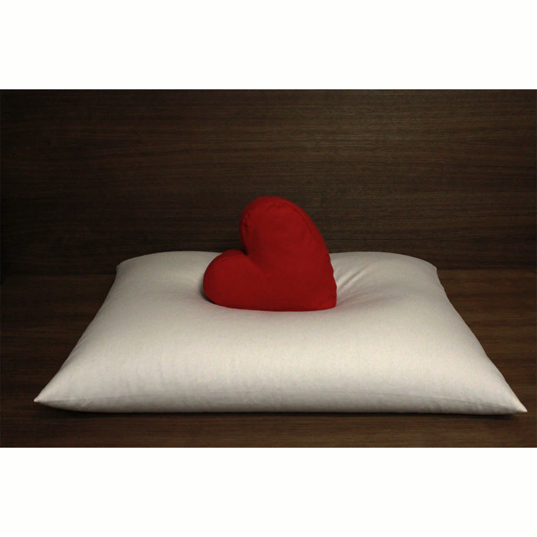 Soaring Heart Buckwheat Hull Pillows Mini With One Pillowcase 7