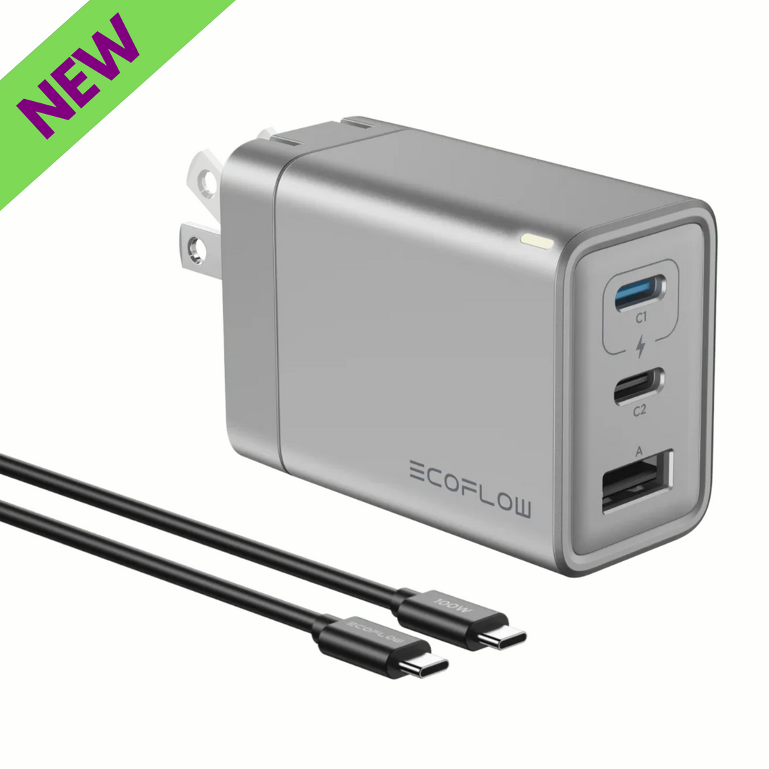 EcoFlow RAPID 65W GaN Charger 100W Cable High Speed USB C Power Adapter with new label