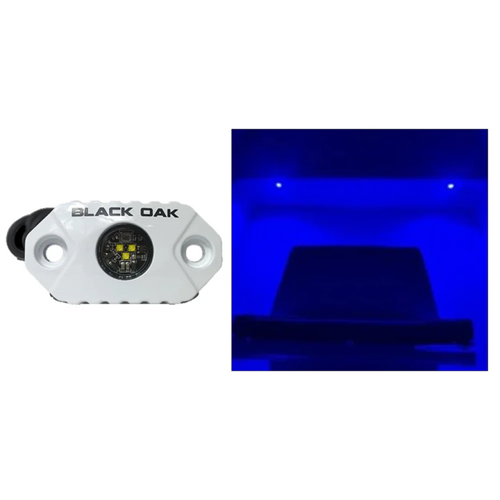 Black Oak LED Rock Marine Accent Light Blue Light White Housing LEDs