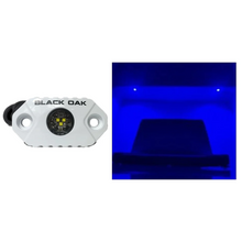 Load image into Gallery viewer, Black Oak LED Rock Marine Accent Light Blue Light White Housing LEDs
