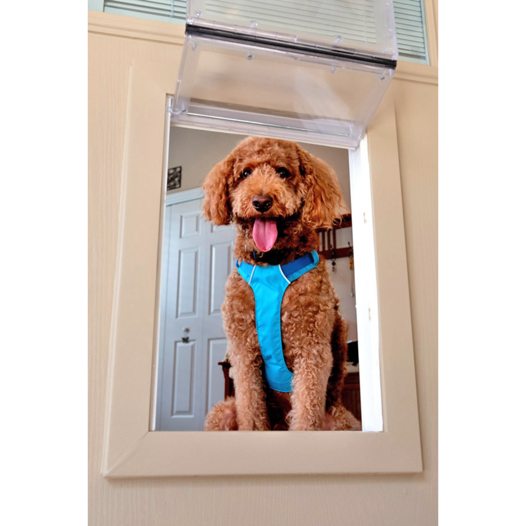 Guard Dog Pet Door – Medium Size, Secure Flush Fit, Locking Panel, Weatherproof
