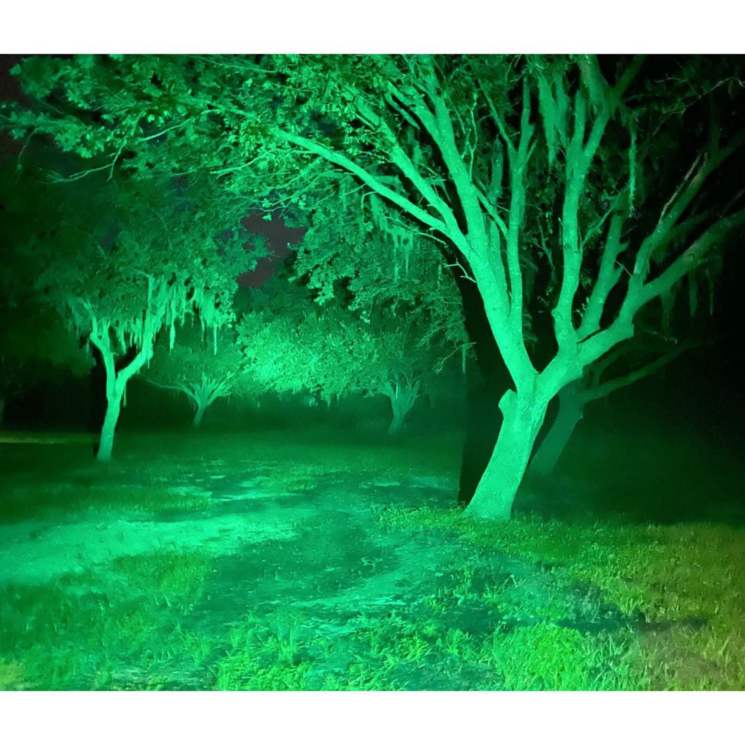 Luz LED de 2 pulgadas de roble negro con LED verde Hog Pod, reflector, óptica negra