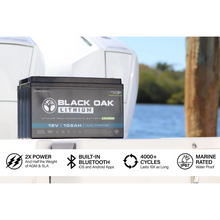 Load image into Gallery viewer, Black Oak Lithium 36V 60Ah Deep Cycle Motor Battery Bluetooth Connectivity
