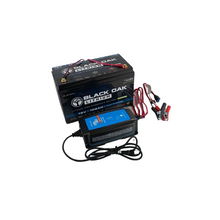 Load image into Gallery viewer, Black Oak Lithium 36V 60Ah Deep Cycle Motor Battery Bluetooth Connectivity
