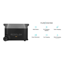Load image into Gallery viewer, EcoFlow DELTA Pro Portable Power Station + 400W Solar Panel Custom
