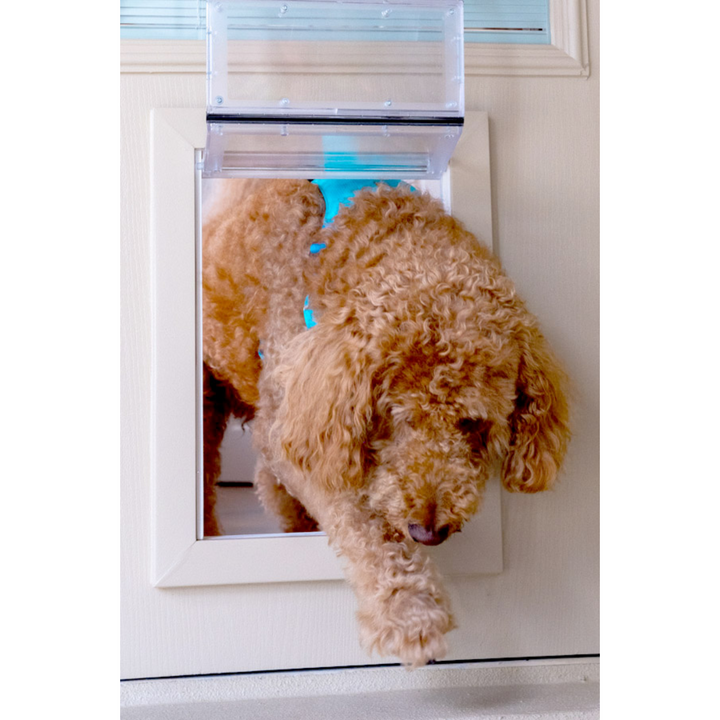 Guard Dog Pet Door – Medium Size, Secure Flush Fit, Locking Panel, Weatherproof