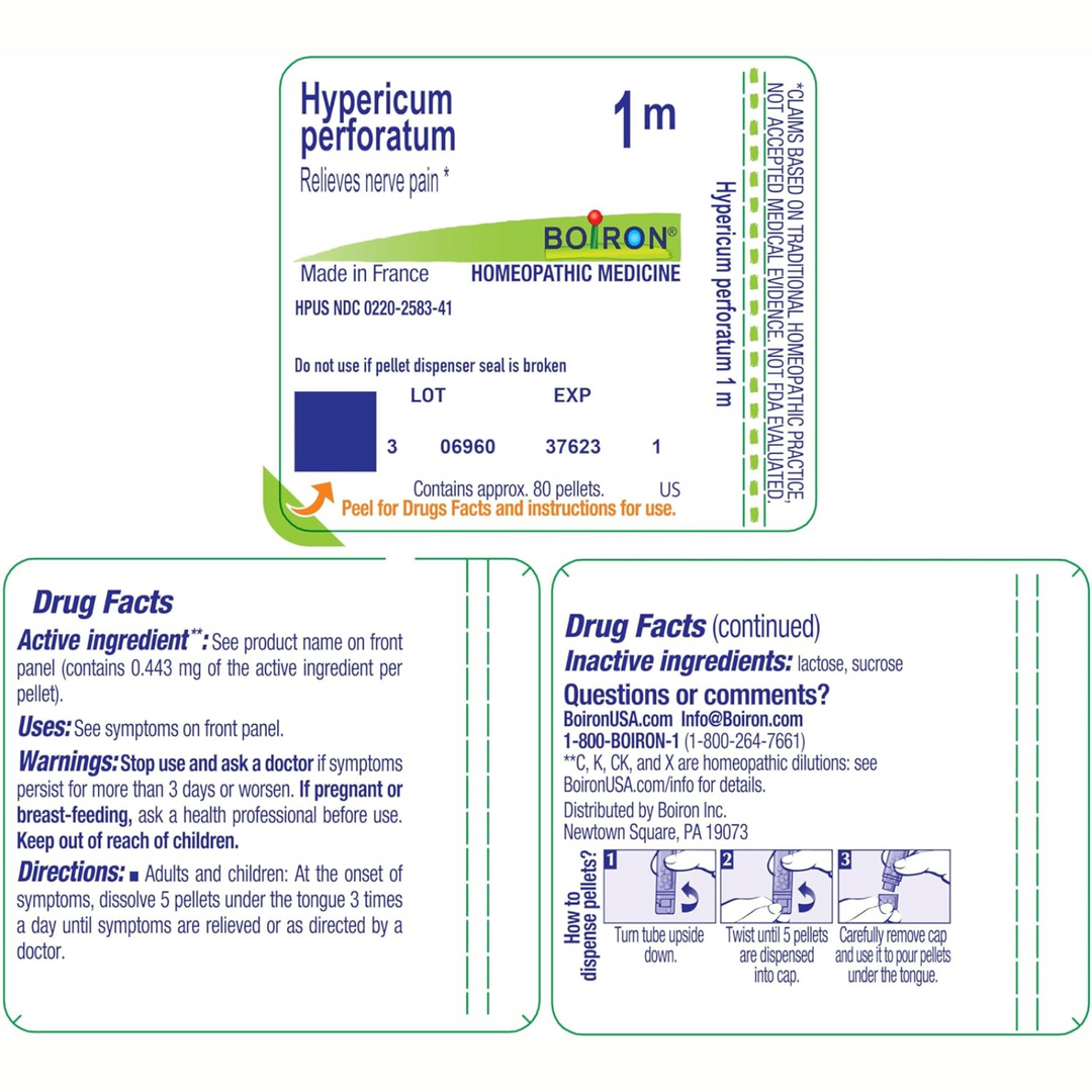 Hypericum perforatum 1M 80 gránulos de Boiron Laboratories - Apoyo homeopático