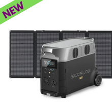 Load image into Gallery viewer, EcoFlow DELTA Pro 3600W Portable Power Station With One 220W Solar Panel
