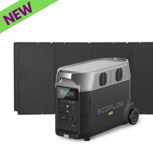 Load image into Gallery viewer, EcoFlow DELTA Pro Portable Power Station With Two 400W Portable Solar Panel
