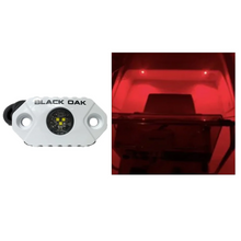 Load image into Gallery viewer, Black Oak LED Rock Marine Accent Light Red LEDs Light White Housing
