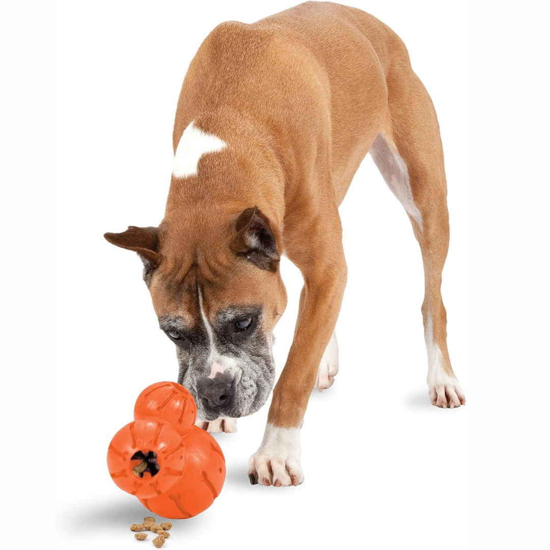Juguete interactivo para masticar para perros grandes PetSafe Sportsmen Barnacle