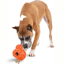 Load image into Gallery viewer, PetSafe Sportsmen Barnacle Large Dog Chew Toy Interactive Pet Puzzle
