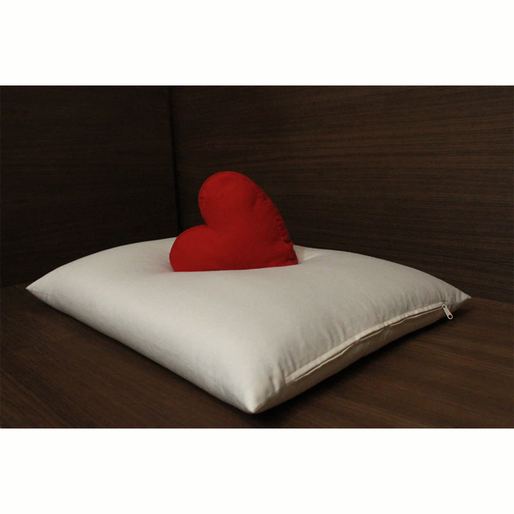 Soaring Heart Buckwheat Hull Pillow Standard Queen With One Pillowcase 19" X 25"