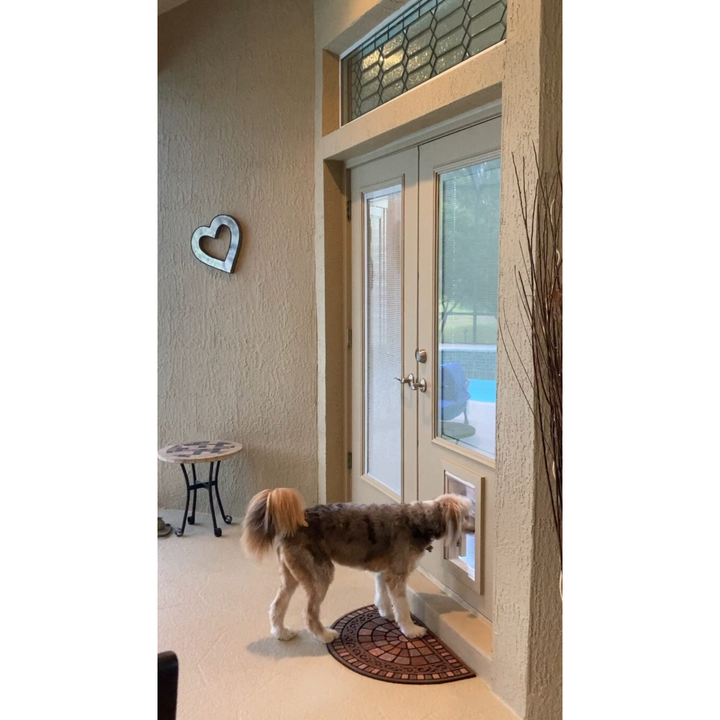 Guard Dog Pet Door – Medium Size, Secure Flush Fit, Locking Panel, Weatherproof