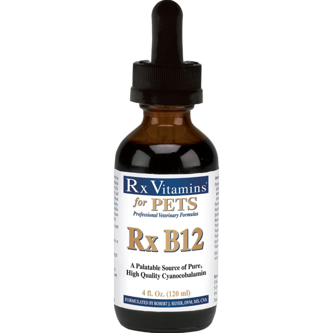 Rx Vitamins For Pets Rx B12 Liquid 4 Oz Digestive Supplement for Dogs and Cats