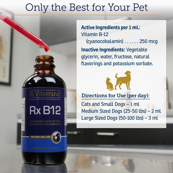 Rx Vitamins For Pets Rx B12 Liquid 4 Oz digestive supplement bottle with dosage instructions for pets.