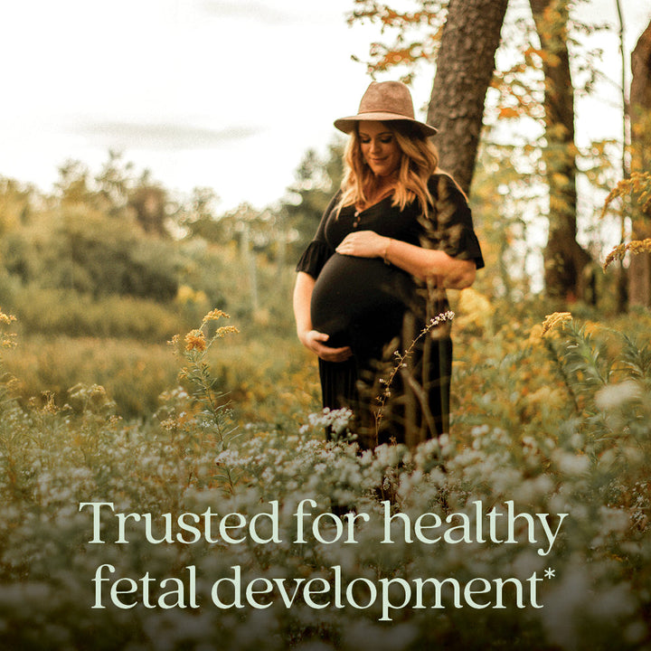 Multivitamínico prenatal de alimentos integrales New Chapter Perfect, 192 comprimidos vegetarianos