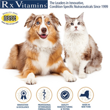 Load image into Gallery viewer, Rx Vitamins For Pets D3 Liquid MTC Oil  2 ounce  2 PACK
